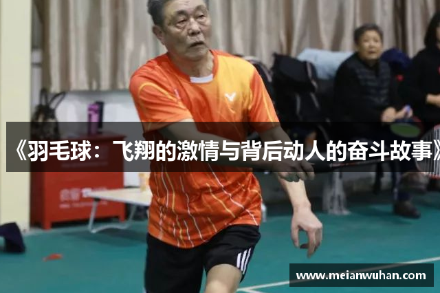 《羽毛球：飞翔的激情与背后动人的奋斗故事》